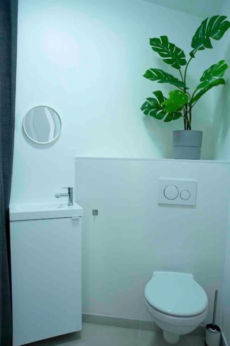 Appartement 5Min Aeroport Cdg Le Mesnil-Amelot Eksteriør bilde